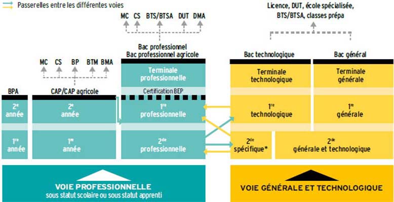 Quelles études faire après la seconde