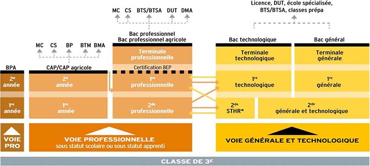 Quelles études choisir après la 3ème