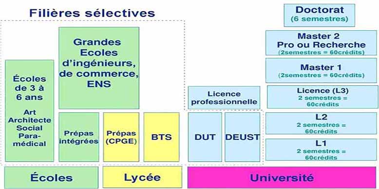 Quelles études faire après le bac