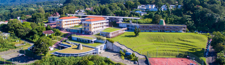 Bilan de compétences en Guadeloupe pour trouver un métier d’avenir et faire  son inscription parcoursup