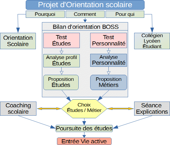 Le Projet D orientation